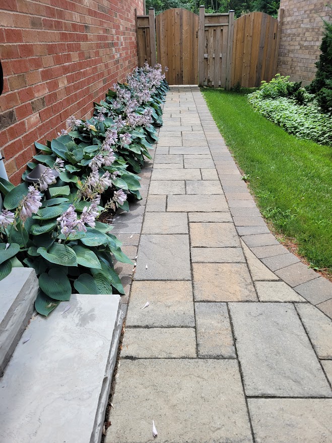 A brick walkway lined with flowering plants runs along a house, leading to a wooden gate, adjacent to a grass strip and garden.