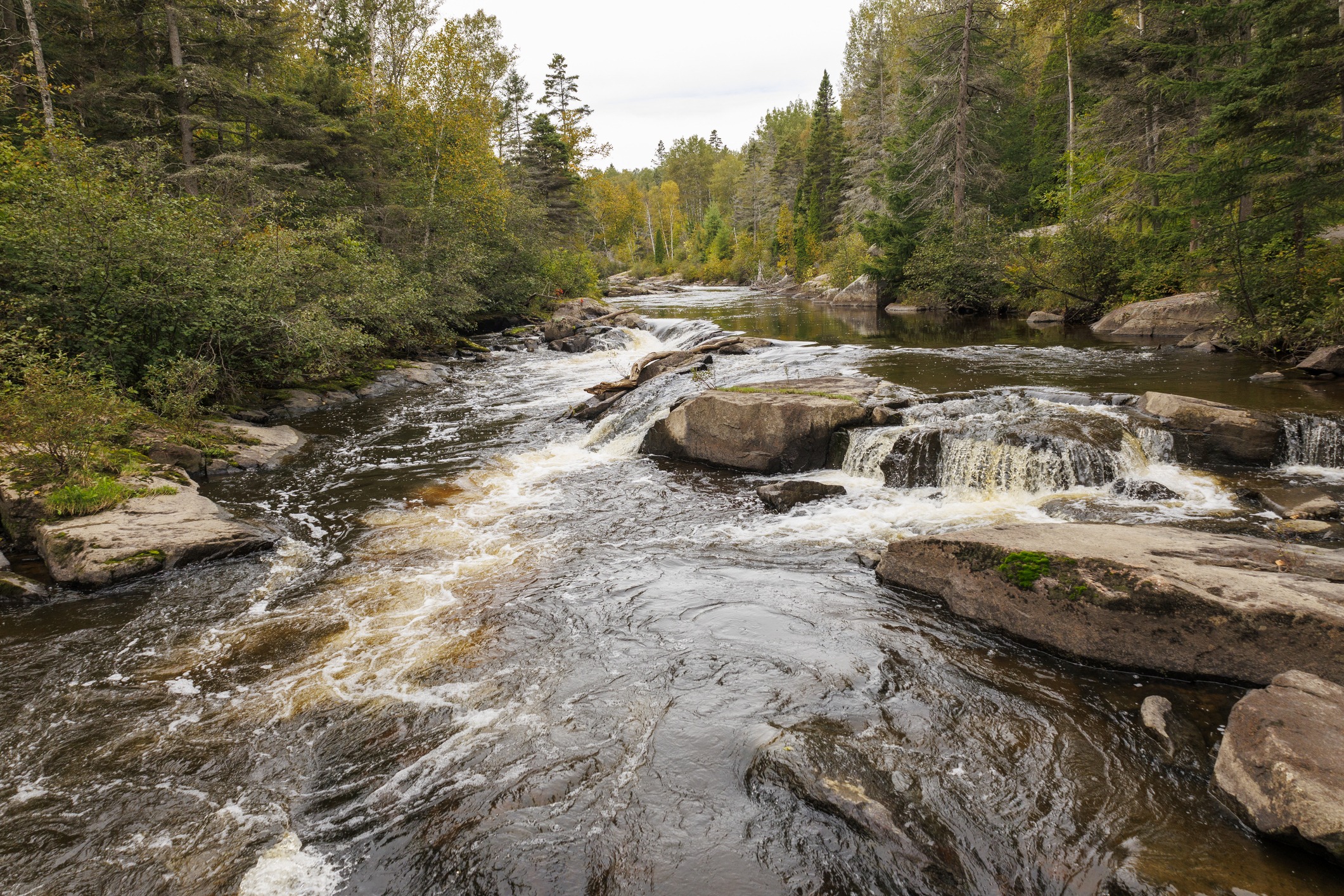 A serene river flows over rocks in a dense forest, with green trees lining the banks under a partly cloudy sky.
