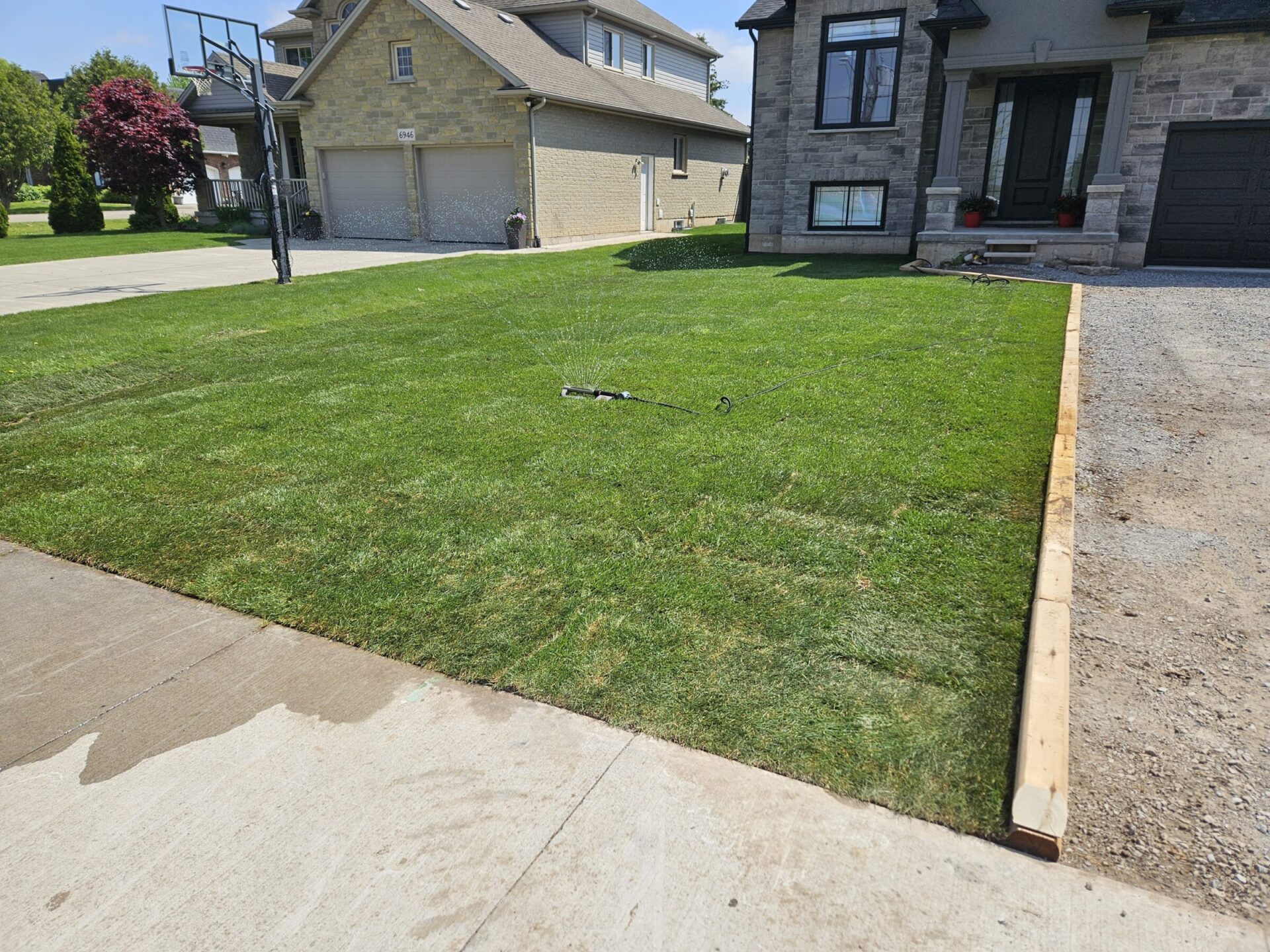 A sprinkler waters a newly laid lawn in front of modern homes with brick exteriors and a basketball hoop in the driveway.