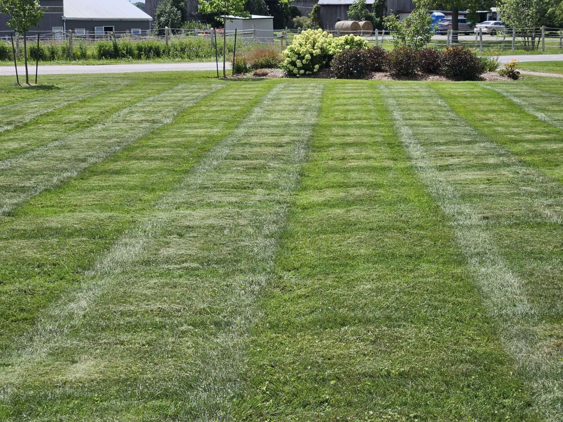 A neatly mowed grassy area with trees, shrubs, and a fence, situated near a farm building and road in a rural setting.